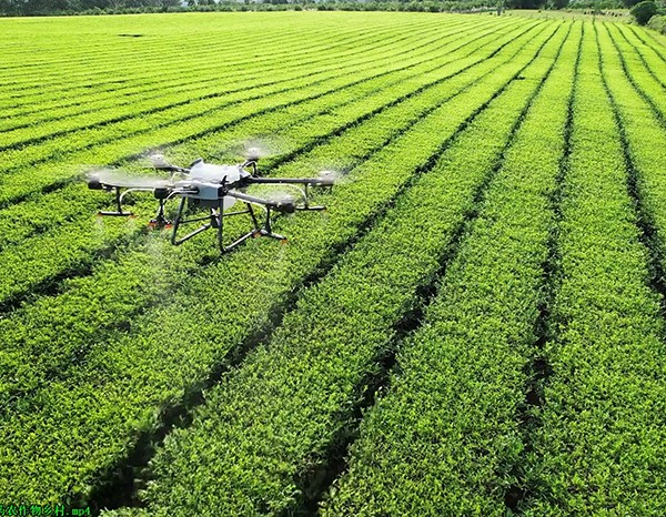 无人机科技农业喷洒农药农作物乡村