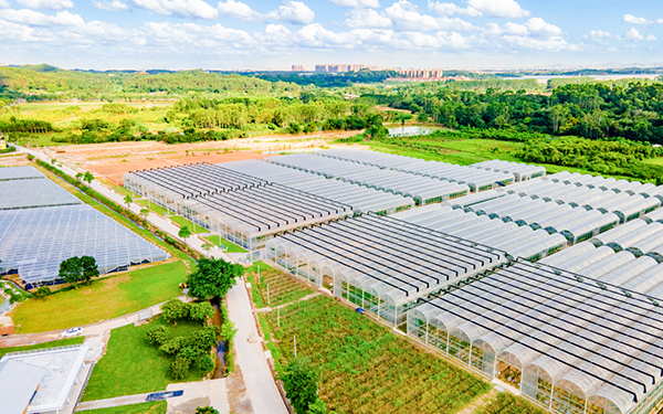 无人机助力农业生产，开启智慧农业新时代